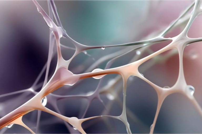 Wie Stress das Fasziennetz beeinflusst